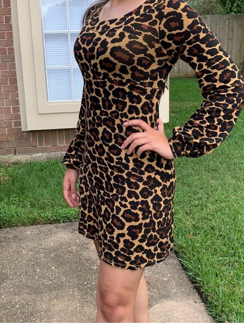Zara Animal print dress. Host pick!